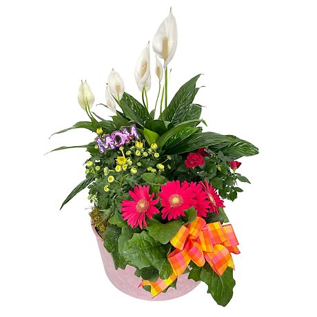 Mother\'s Day Blooming Planter